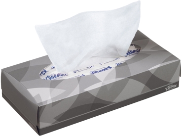 Kleenex kozmetikai tasak fehér 22x19cm 2100db.
